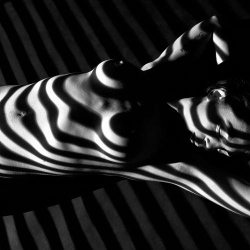 Didier PERRUSSET : Nu rayé