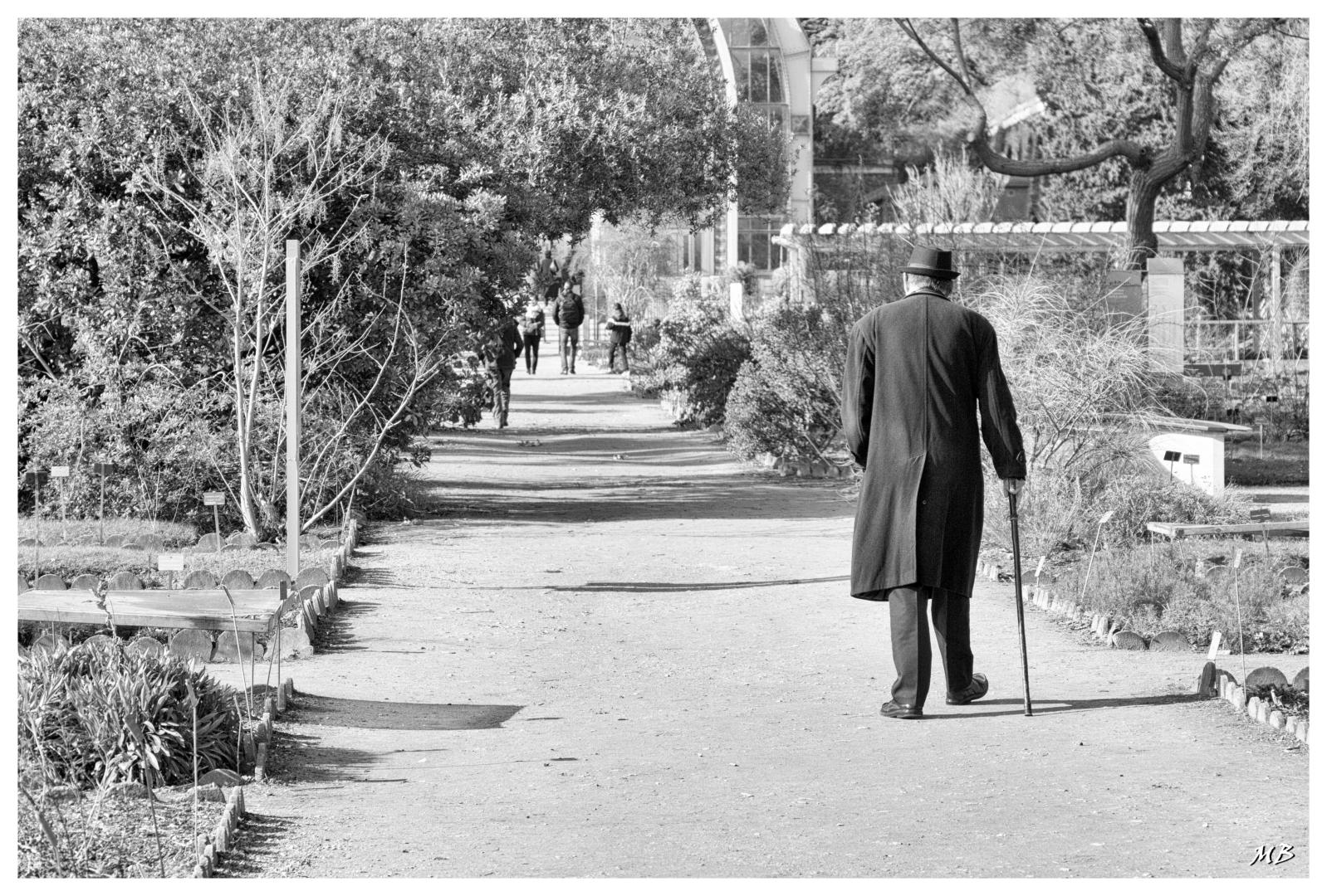 Michel Baloche - Paris (Jardin des plantes)