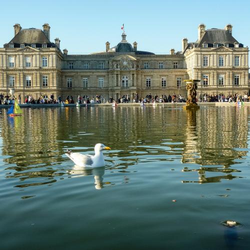 Sylvie ROSOVSKY : Le sénat (Paris)