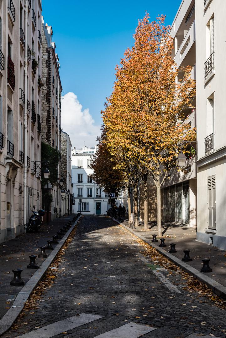 Dominique Potevin : Butte aux Cailles 17