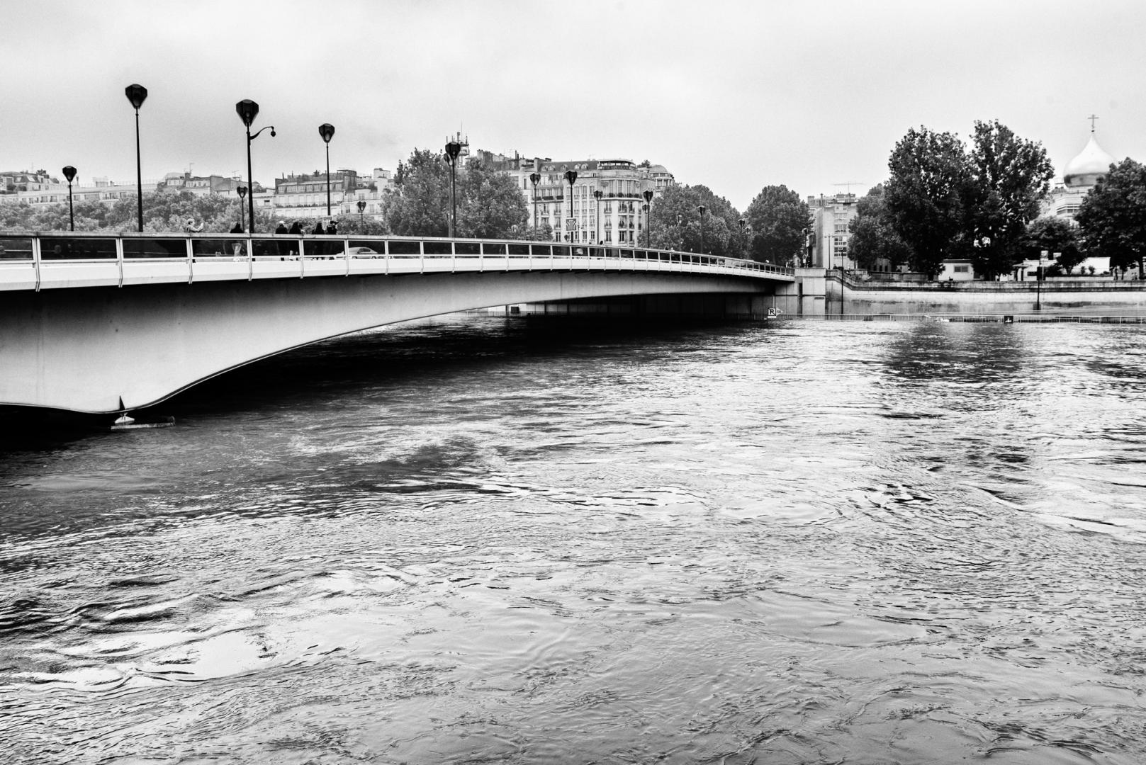 Dominique Potevin : Inondations Paris 2016 - 3