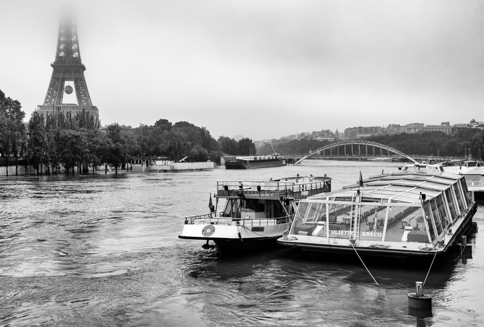 Dominique Potevin : Inondations Paris 2016 - 5
