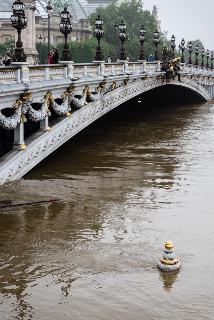 Dominique Potevin : Inondations Paris 2016 - 11