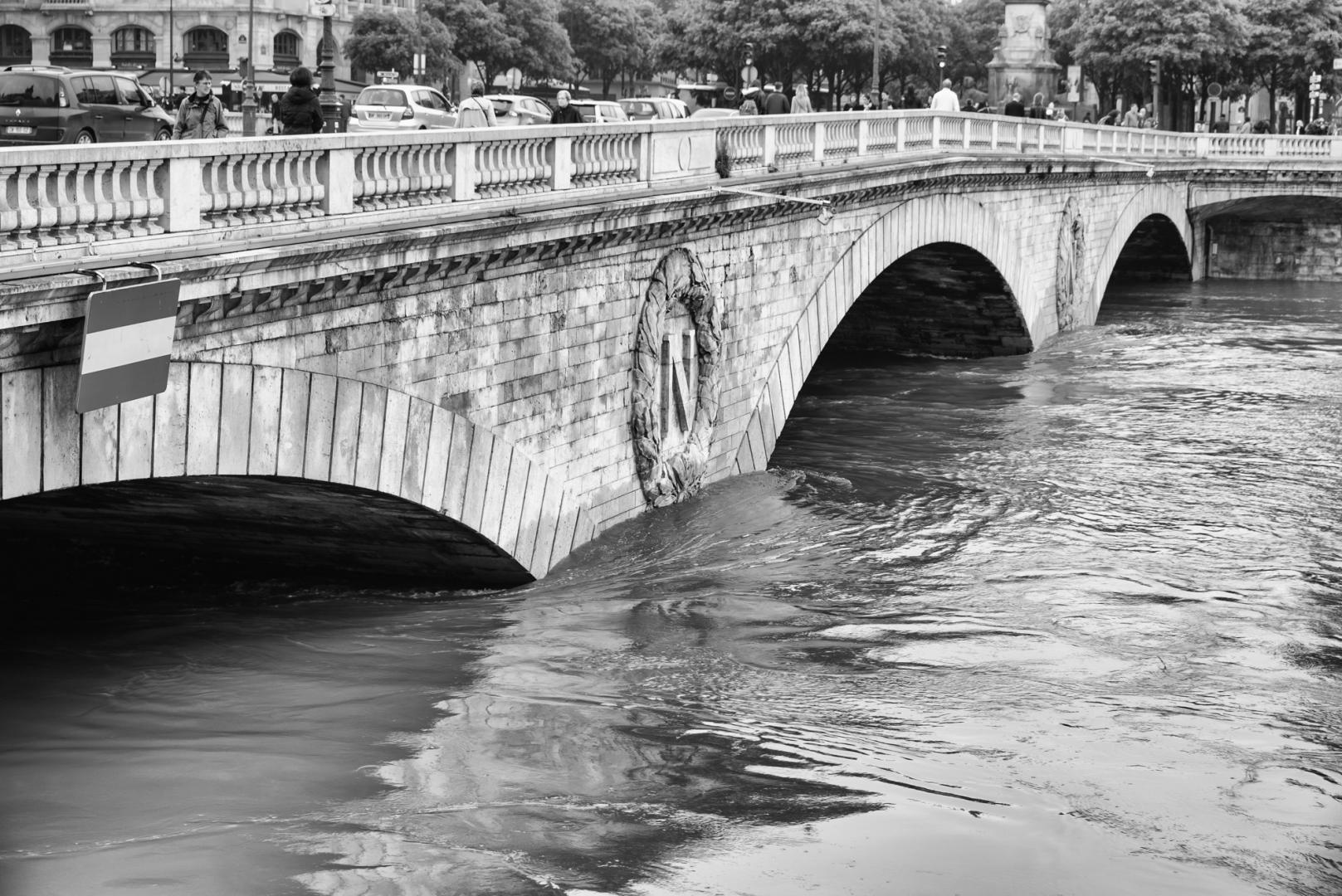 Dominique Potevin : Inondations Paris 2016 - 14