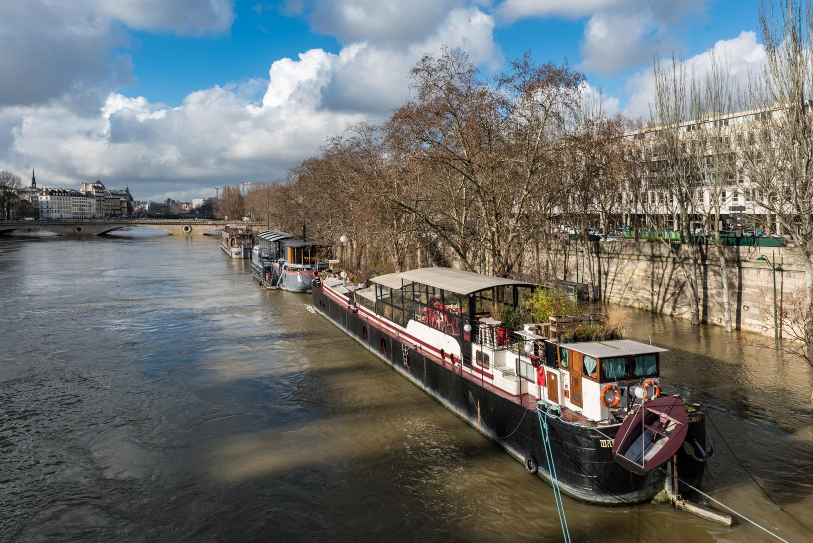 Dominique Potevin : Inondations Paris 2018 - 1