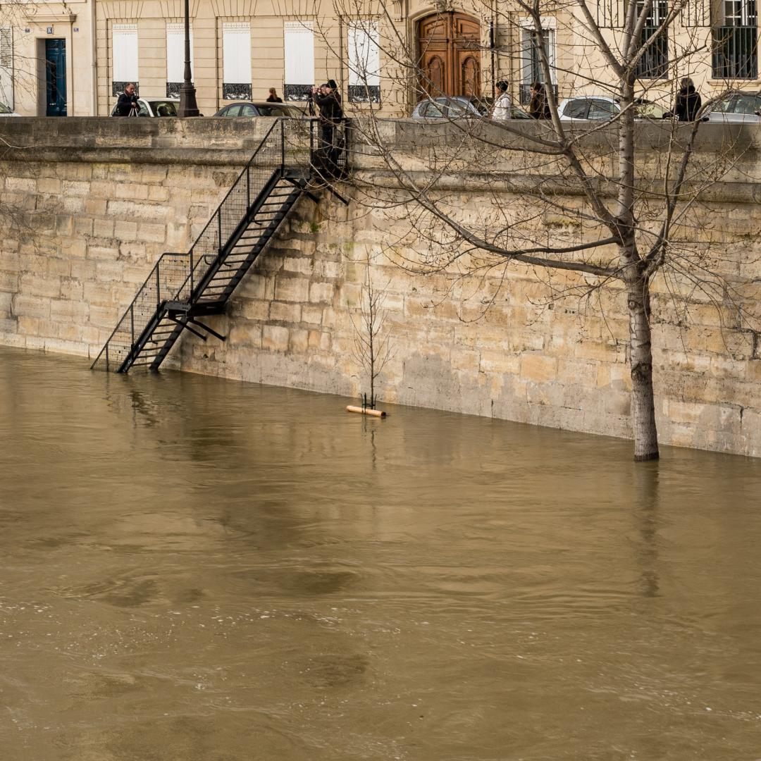 Dominique Potevin : Inondations Paris 2018 - 3