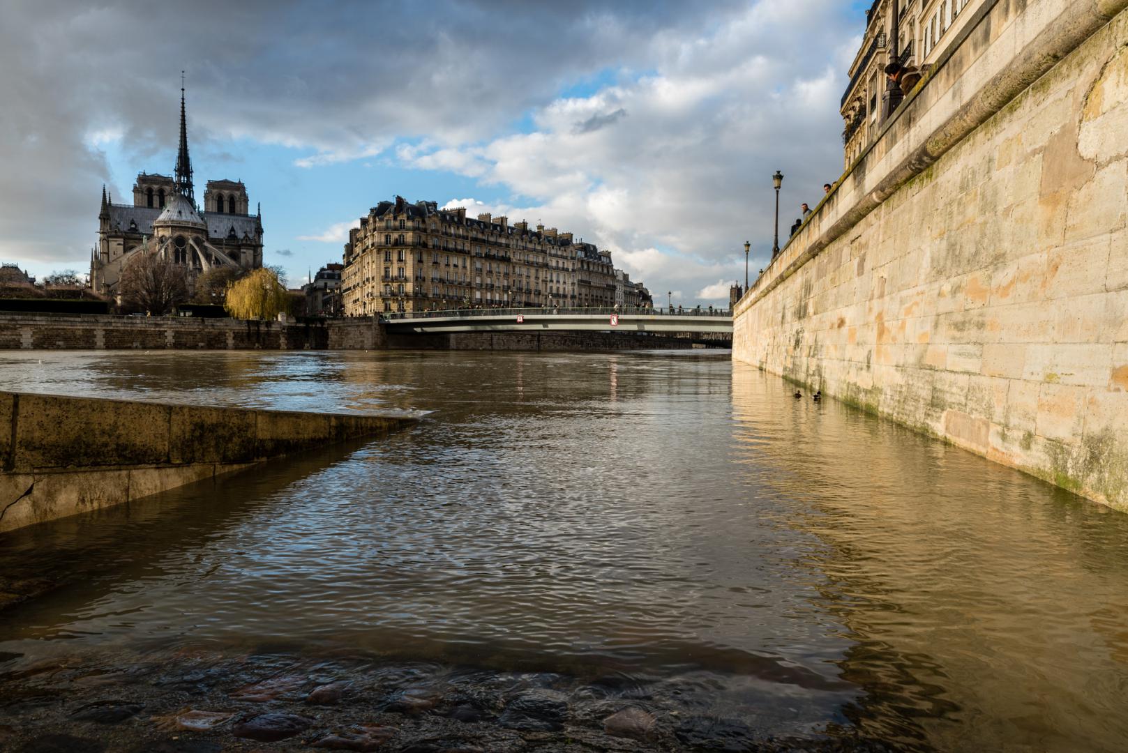 Dominique Potevin : Inondations Paris 2018 - 4