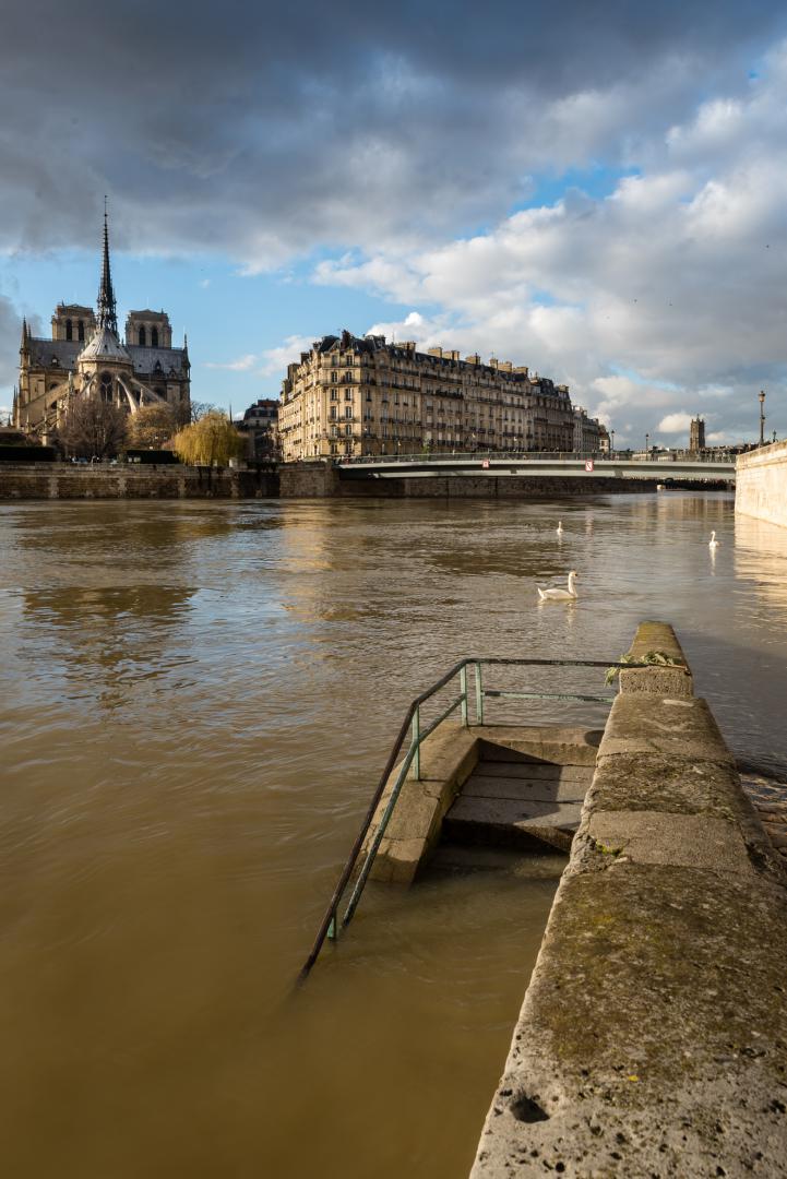 Dominique Potevin : Inondations Paris 2018 - 5