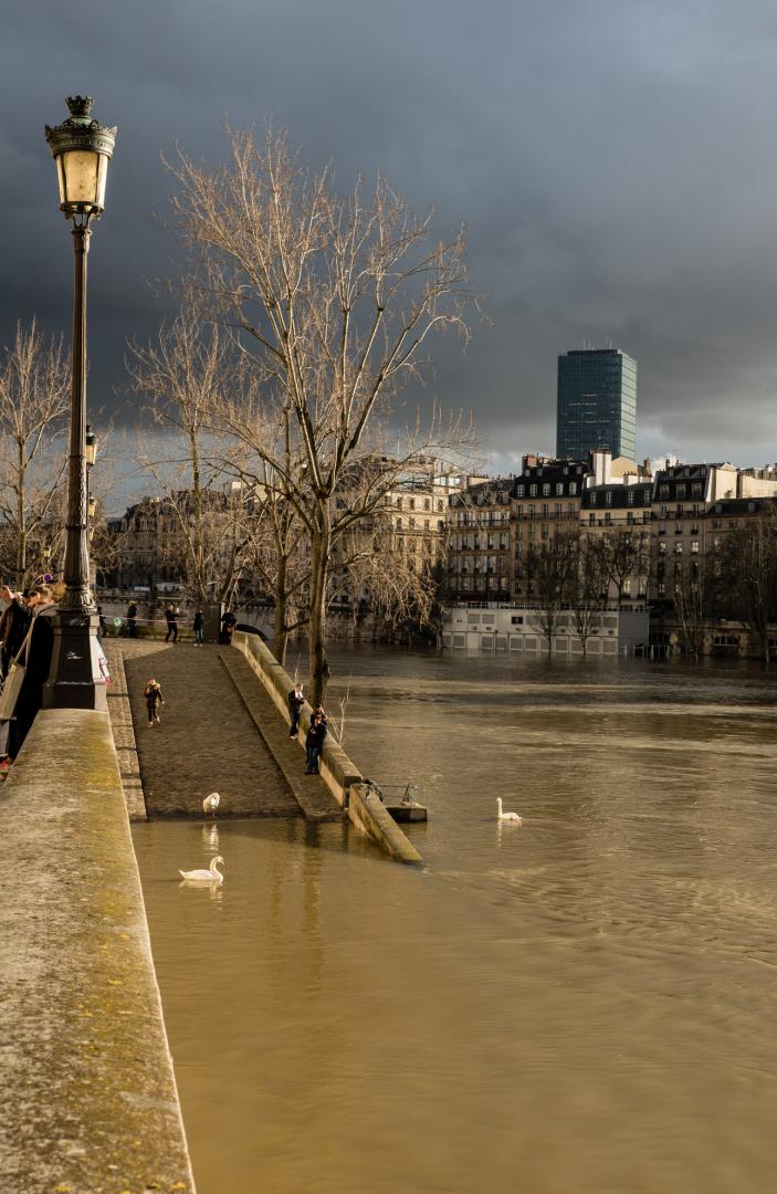 Dominique Potevin : Inondations Paris 2018 - 6