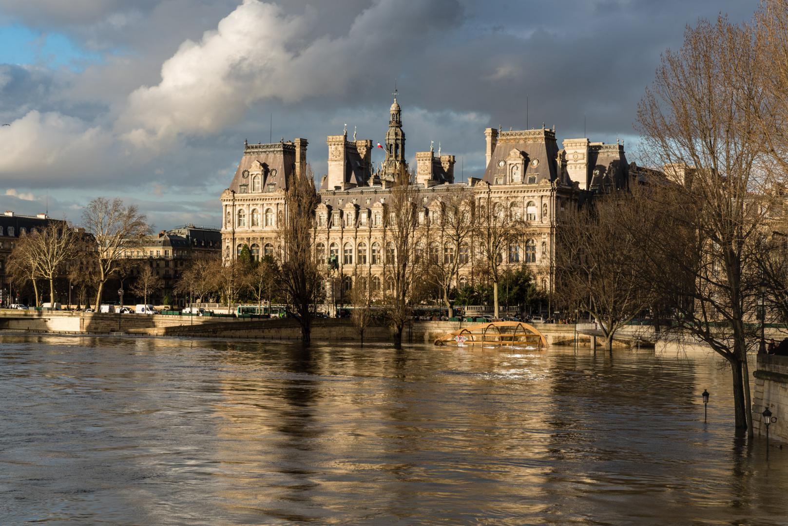 Dominique Potevin : Inondations Paris 2018 - 7