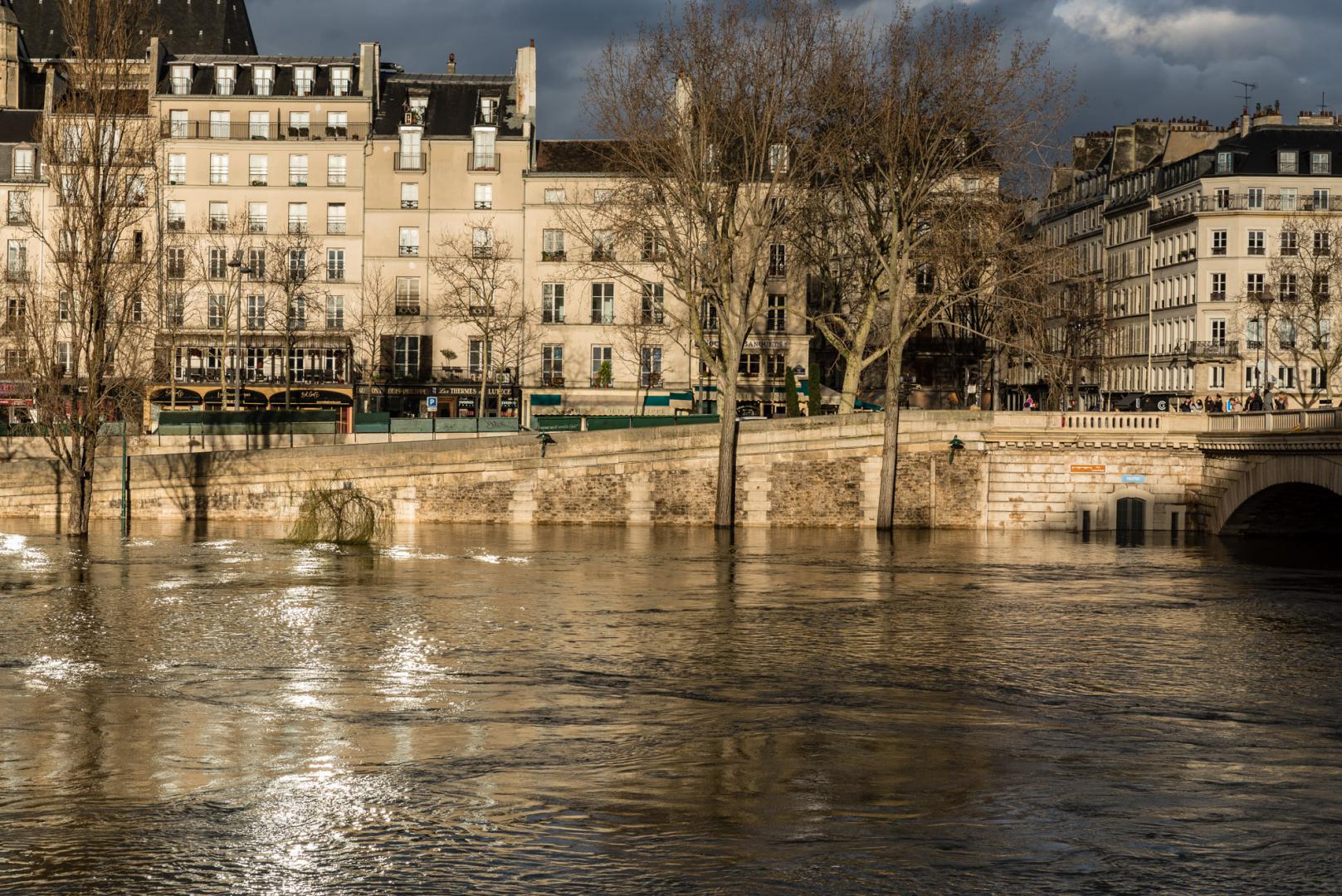 Dominique Potevin : Inondations Paris 2018 - 8