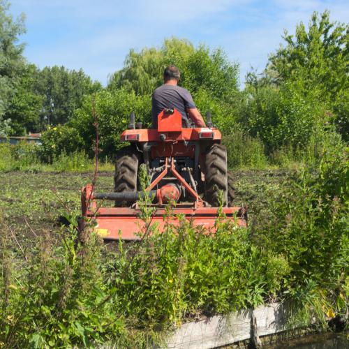 Alain LANCOU : Tracer les sillons (Hortillonnages d'Amiens)