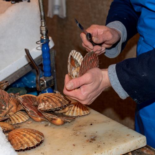 Thiery BURZAWA : Compostelle