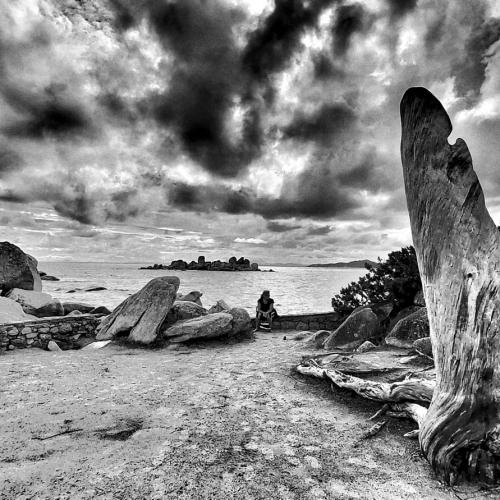 Thierry DELCROIX - Beauté de l'île (Corse)
