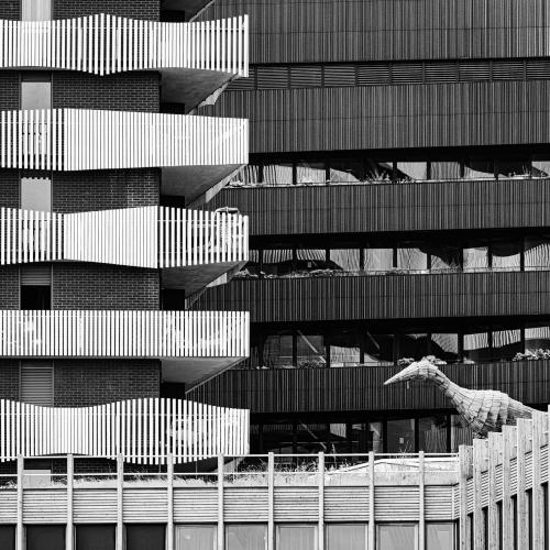 Dominique POTEVIN - Balcons (Batignolles - Paris)