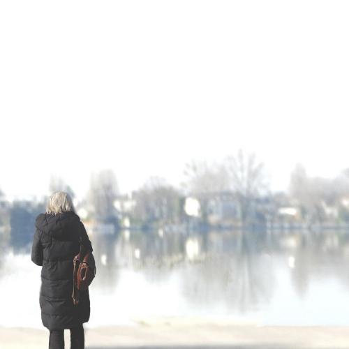 Brigitte FRUITIER : Songe au bord du lac