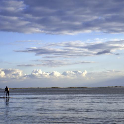 Pierre TRAN VAN NHIEU : Evasion