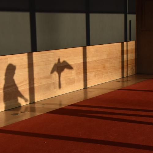 Christine DONAIRE : La femme et l'oiseau