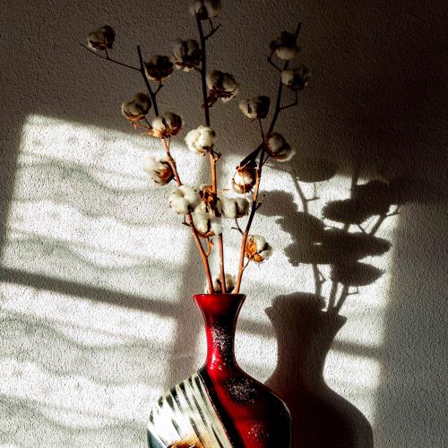 Michel BALOCHE : Bouquet