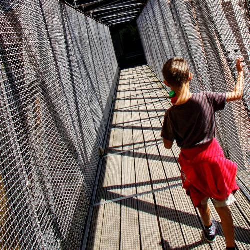 Michel HAASZ : Passage