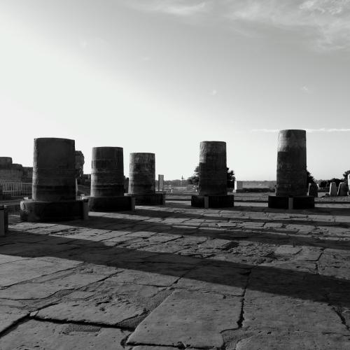 Pierre TRAN VAN NHIEU : Colonnes de Louxor (Egypte)