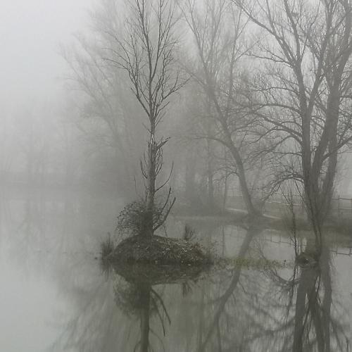 Françoise MONTAUD - Dicosa 2 (Tarn)