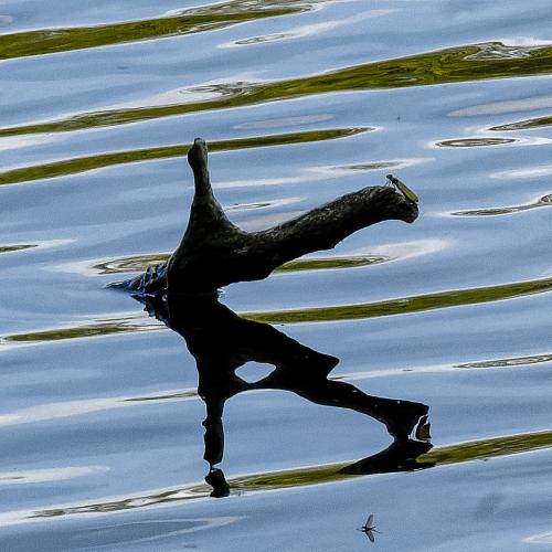 Henri GARRETA - Ô temps suspend ton vol