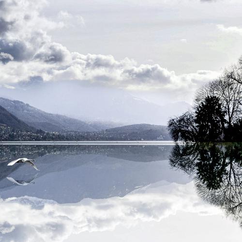 Jean-Marie PERDRIAL - Lac d'Annecy au petit matin