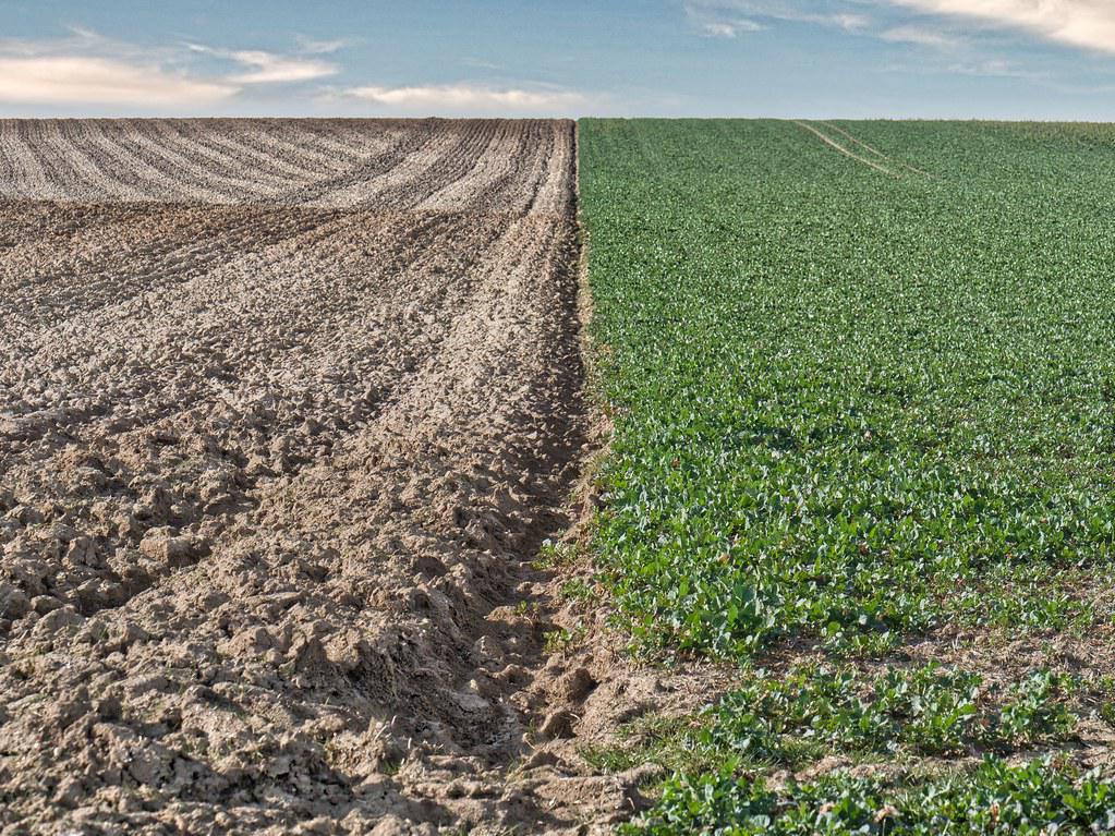 Une nature sommeille tandis qu'une autre s'éveille