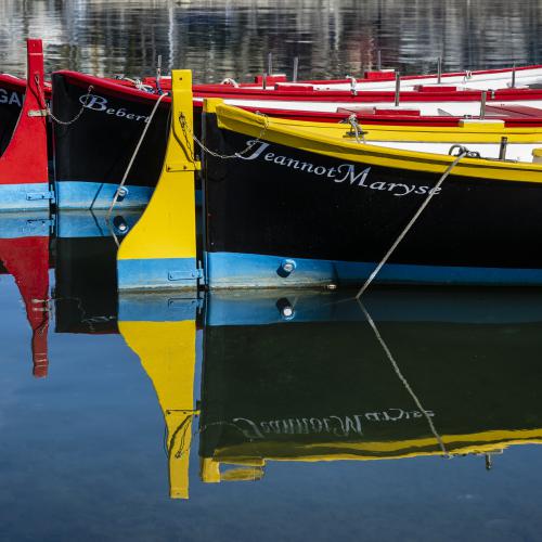Dominique POTEVIN - Miroir aux oiseaux (Martigues)