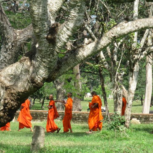 Françoise MONTAUD - Allons étudier