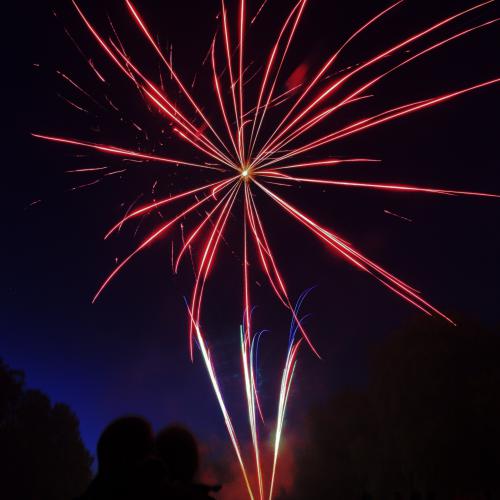 Jean-Pierre CHAMBARD - Pour des couleurs éclatantes