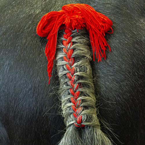 Michel BALOCHE - Queue de cheval tressée