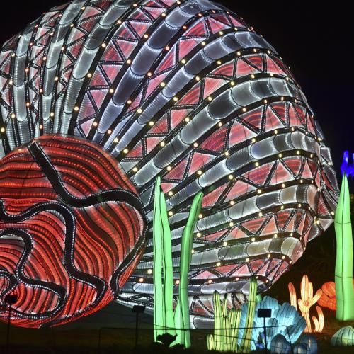 Robert PARATRE - Coquille vide ?