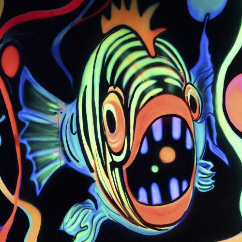 Robert PARATRE - Piranoïd